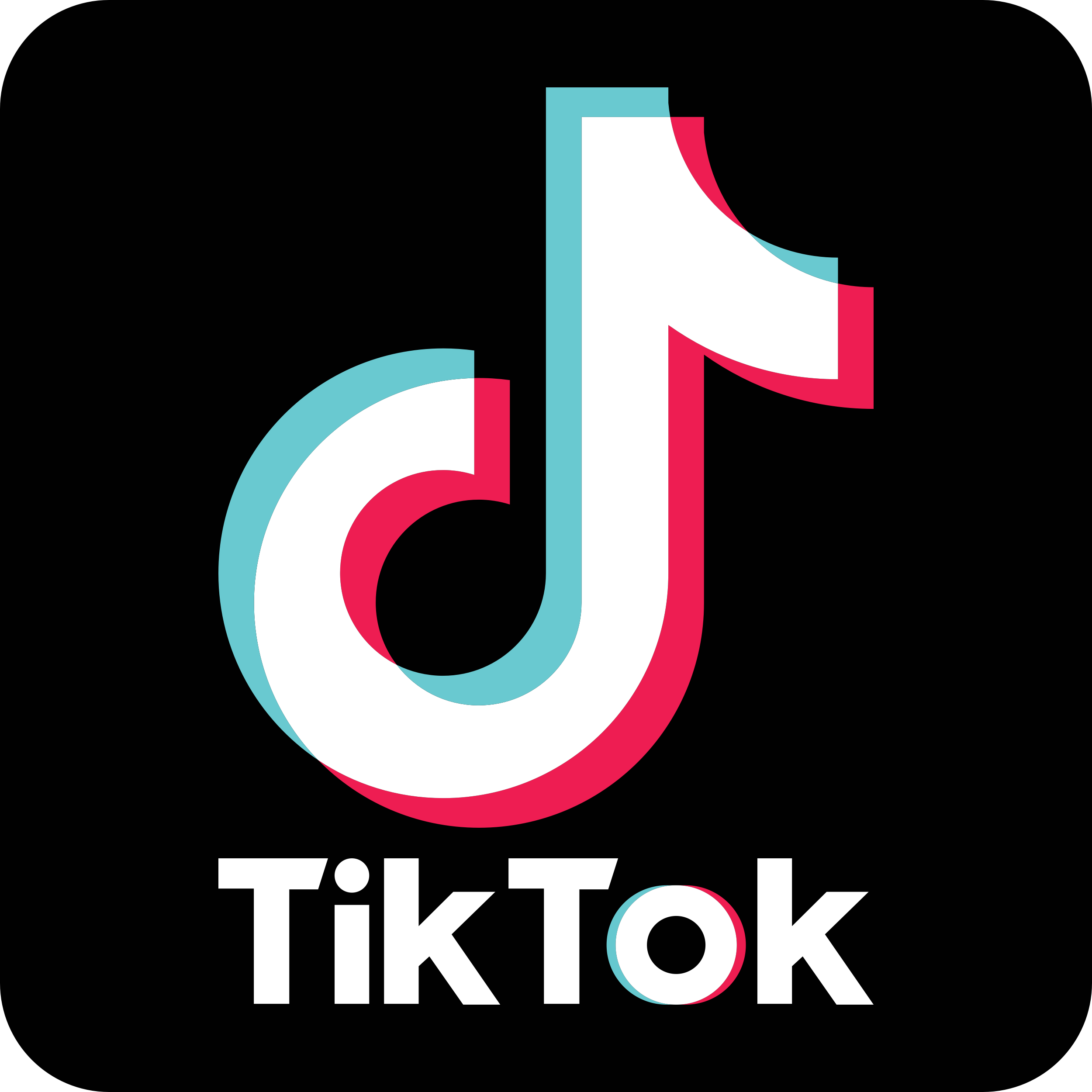TIKTOK SHOP